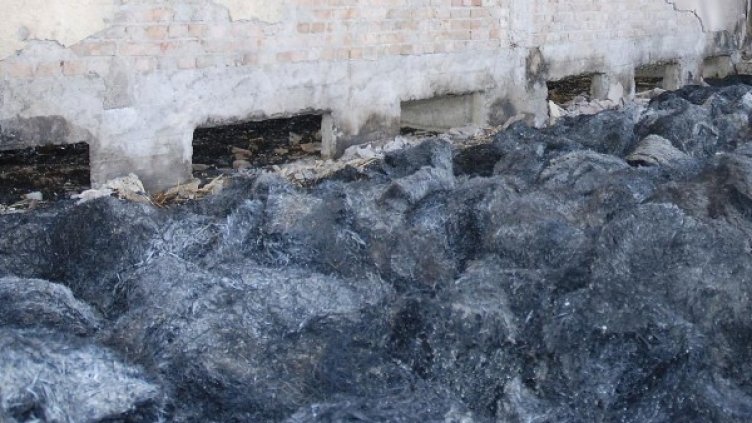 Снимка: Булфото