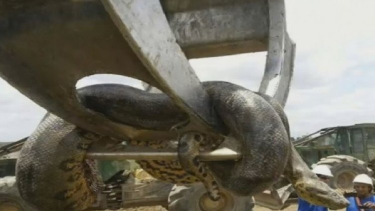 Снимка: кадър, Youtube