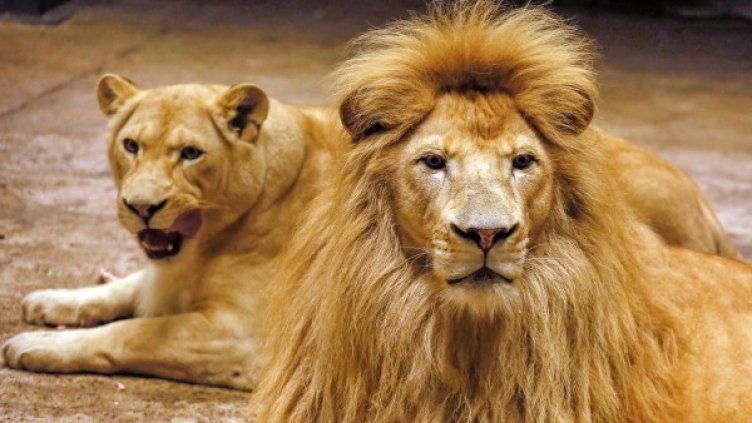 Снимка: архив Reuters