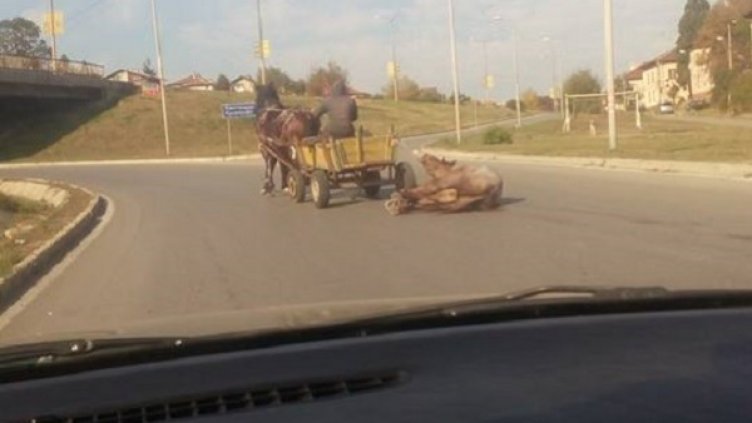 Снимка: Facebook