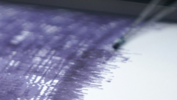 Снимка: Reuters, архив