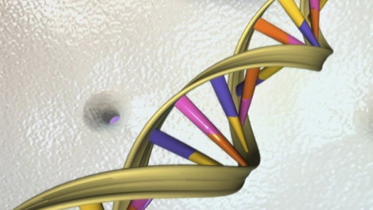 Снимка: Reuters, архив