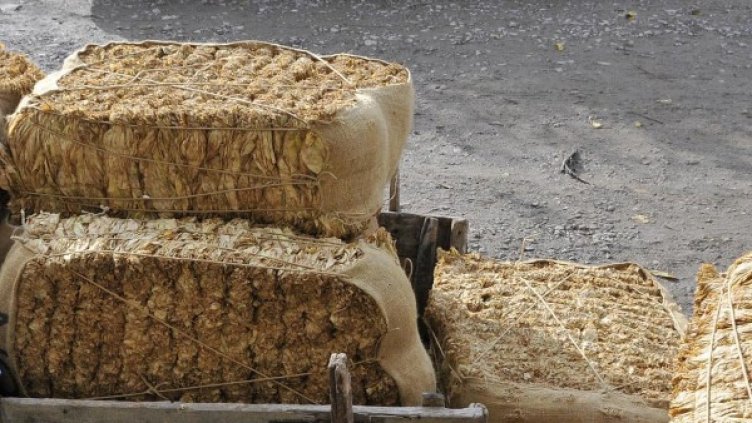 Снимка: Булфото, архив