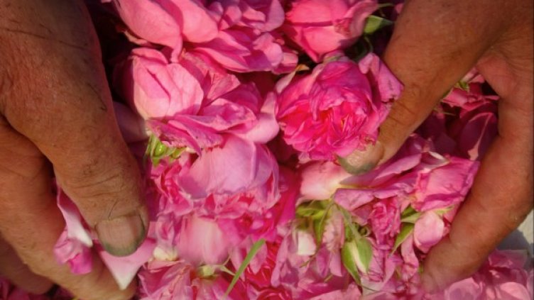 Снимка: архив, Reuters