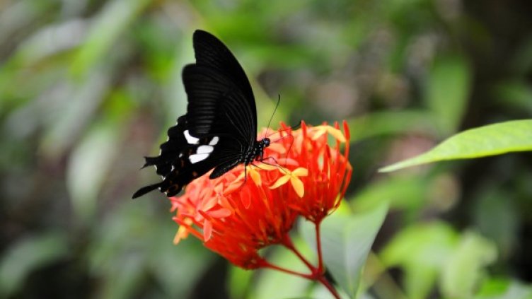 Снимка: архив Reuters