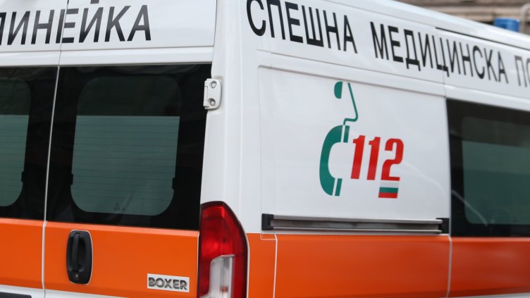 Снимка: архив, БГНЕС