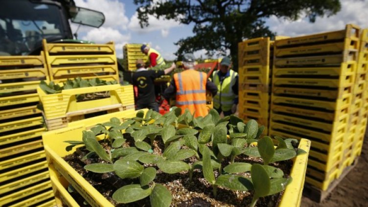 Снимка: Reuters, архив