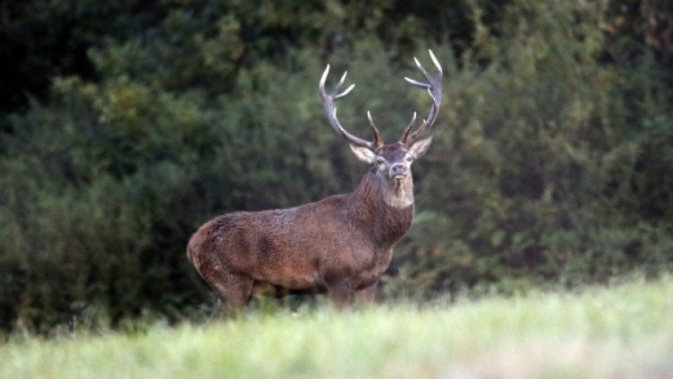 Снимка: архив Reuters