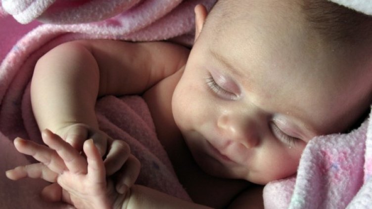 Снимка: freeimages