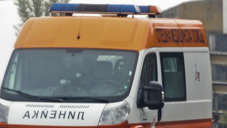 Снимка: Архив, Булфото