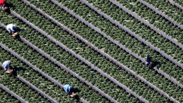 Снимка: архив Reuters