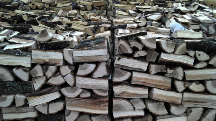 Снимка: архив, Bulphoto