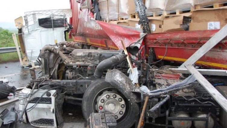 Снимка: архив Булфото