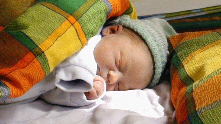 Снимка: freeimages