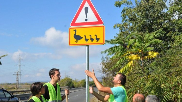 Снимка: Булфото