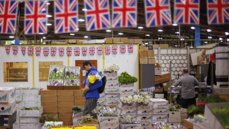 снимка: Ройтерс