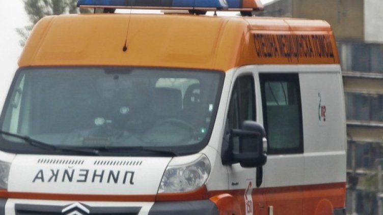 Снимка: Архив, Булфото