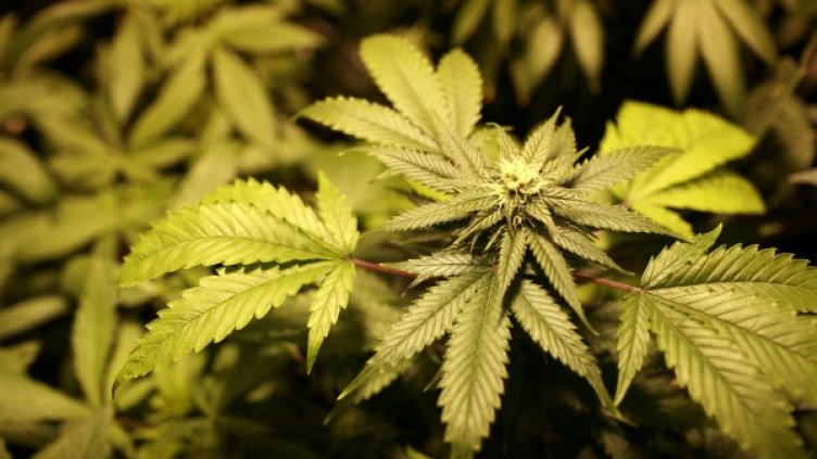 Снимка: Reuters, архив