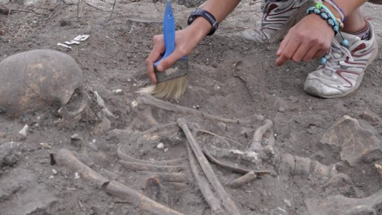 Снимка: Булфото, архив