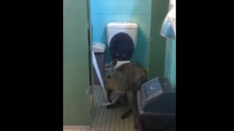 Снимка: кадър, YouTube