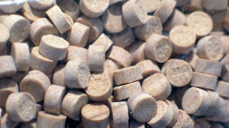 Директори и учители знаят, но мълчат за дилърите!?