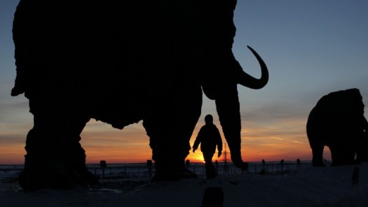 Снимка: архив, Reuters