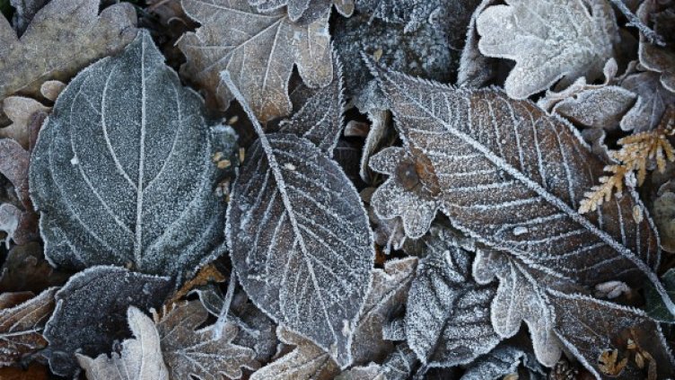 Снимка: архив, Ройтерс