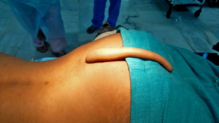 Снимка: Twitter