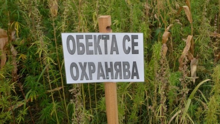 Снимка: Булфото, архив