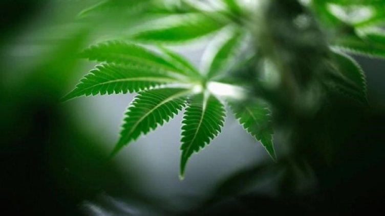 Снимка: архив Reuters