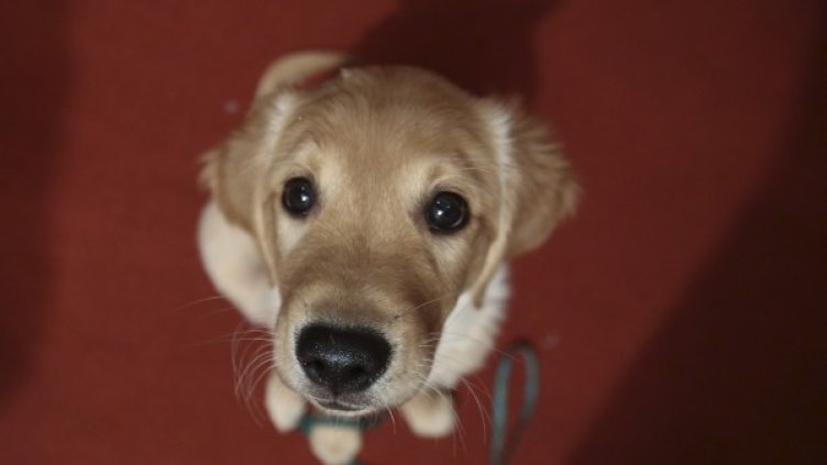 Снимка: Reuters, архив