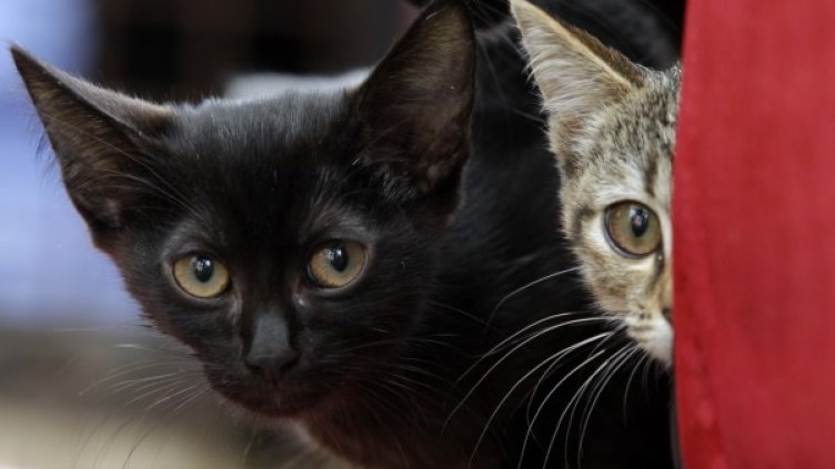 Снимка: Reuters, архив