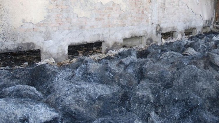 Снимка: Булфото, архив