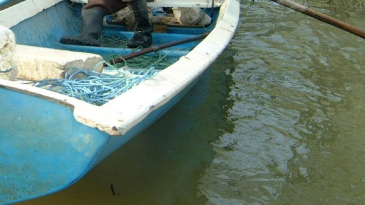 Архив: Булфото