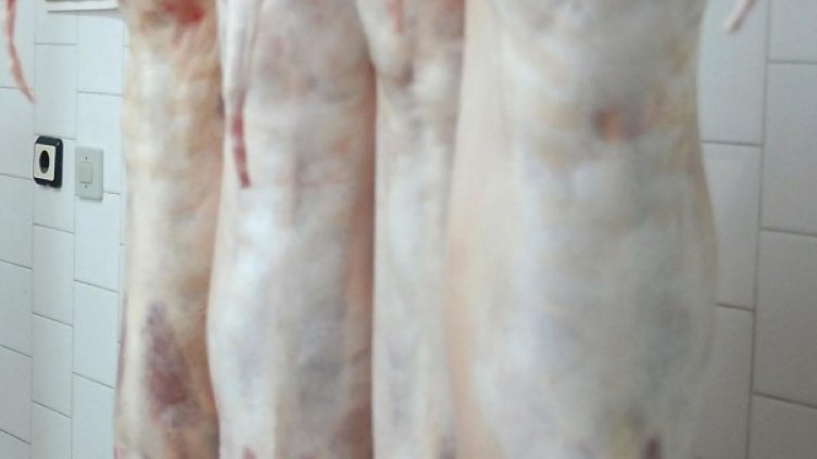 Снимка: Булфото, архив