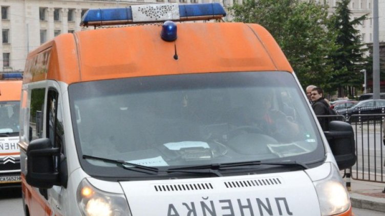 Снимка: архив Булфото