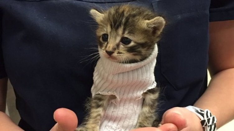 Снимка: Twitter