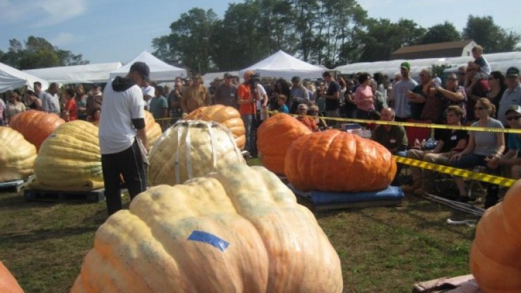 Снимка: Facebook