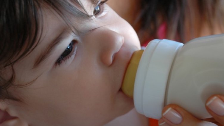 Снимка: freeimages