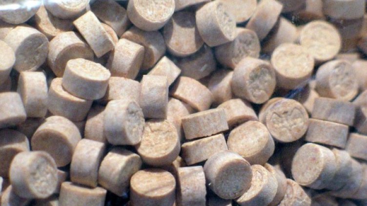 Снимка: Булфото, архив