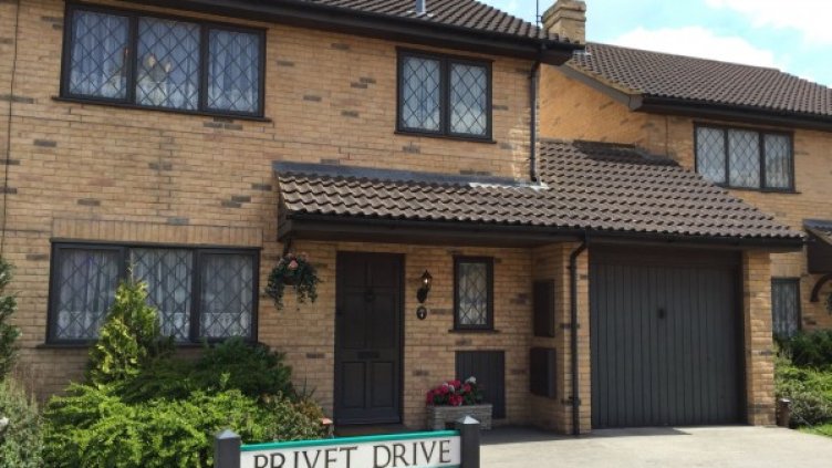 Снимка: darcyunrooted.com