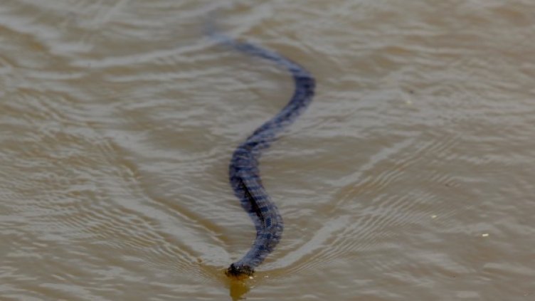 Снимка: Reuters, архив