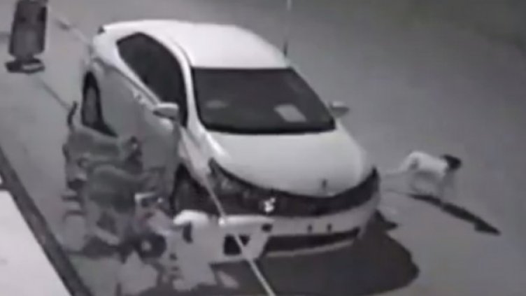 Снимка: Twitter