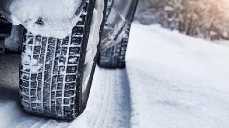 Снимка: istock