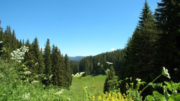 Снимка: Булфото, архив