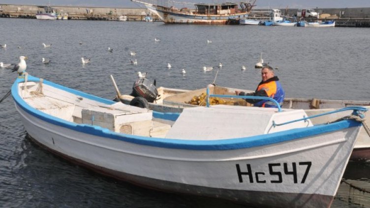 Снимка: Булфото, архив