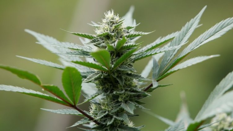 Снимка: архив Reuters