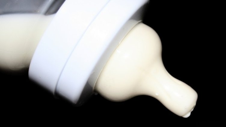 Снимка: freeimages