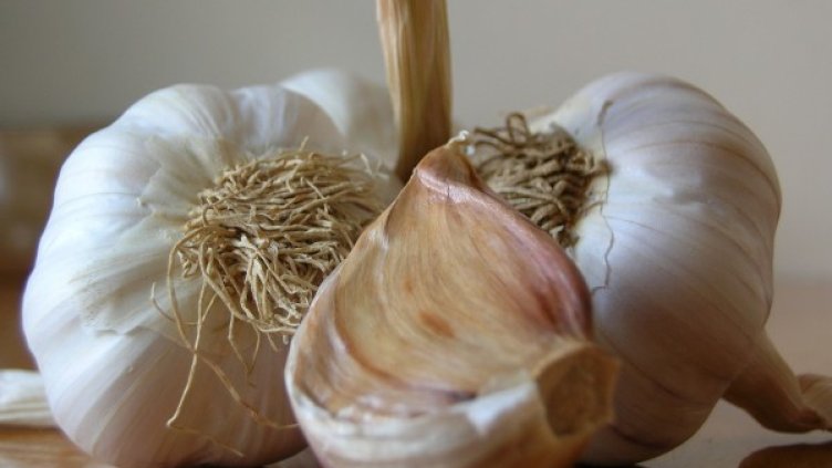 Снимка: freeimages