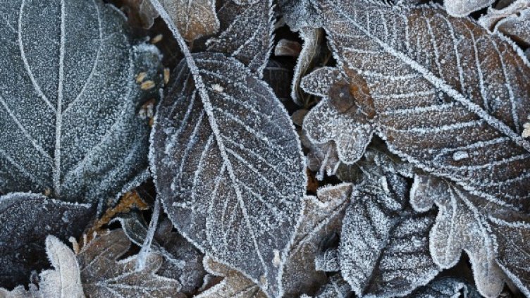 Снимка: архив, Ройтерс